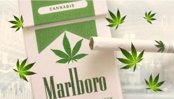 Altria (Marlboro) entra nel mercato della Cannabis
